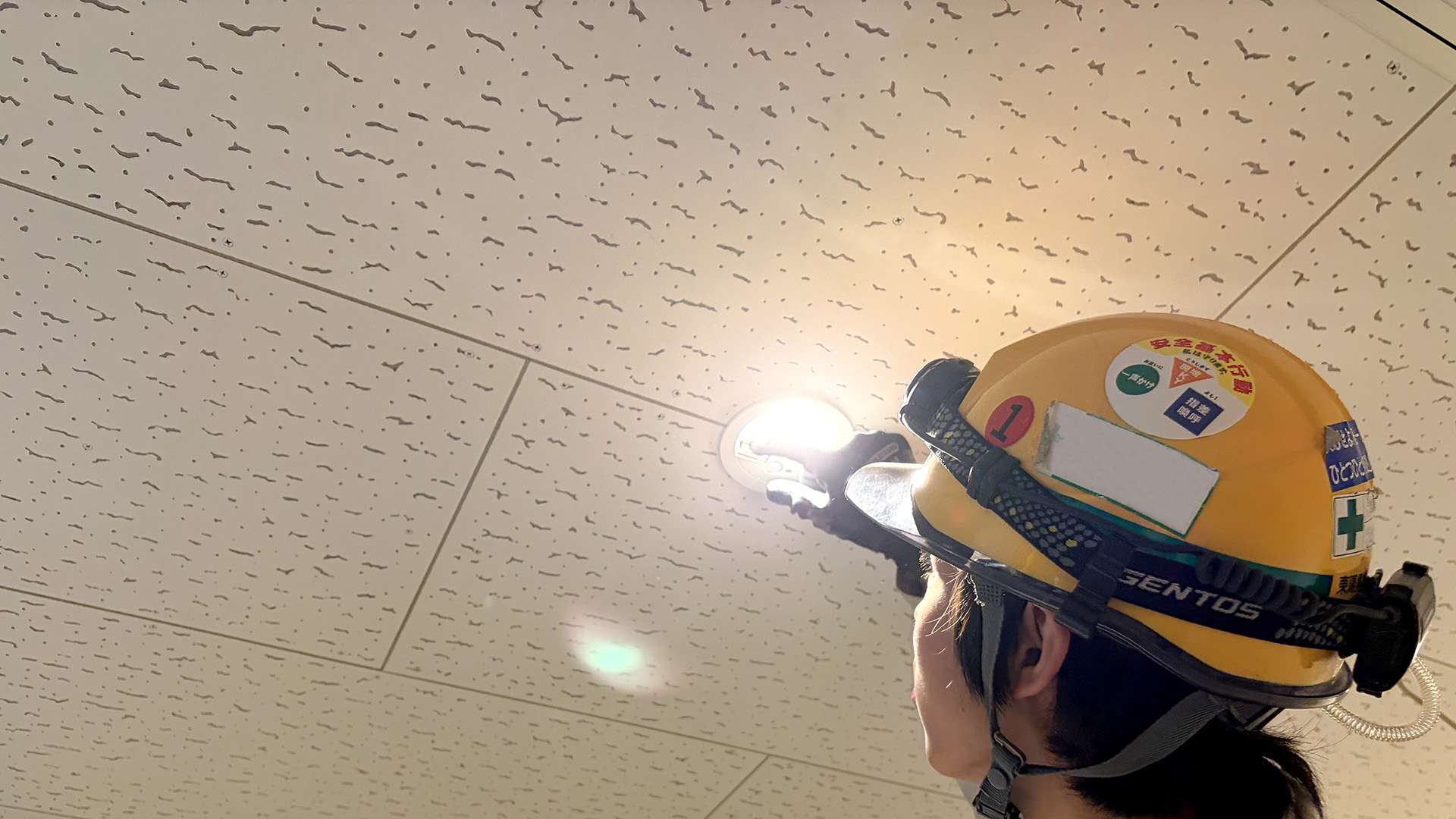 3月25日は「電気記念日」です